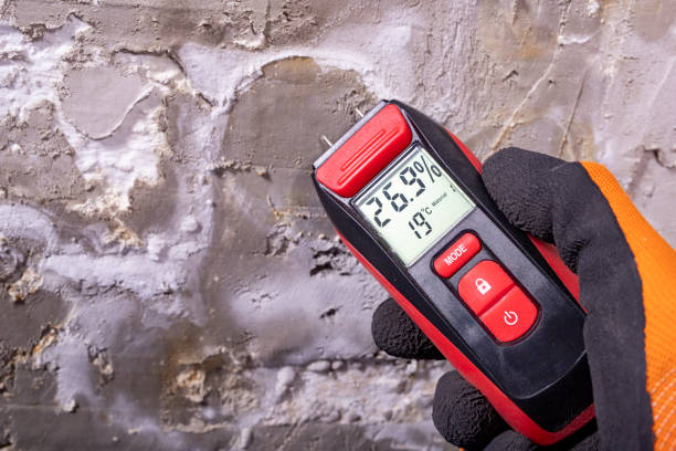 Mold Removal Process in Sonoma State University, CA