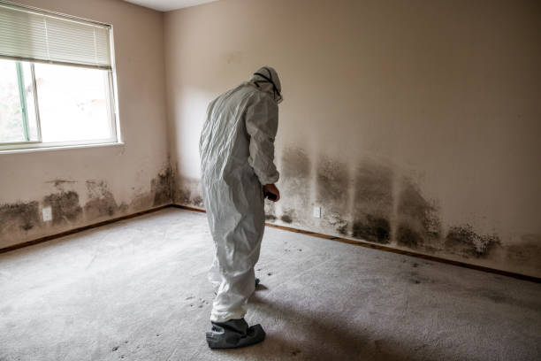 Best Crawl Space Mold Removal  in Sonoma State University, CA